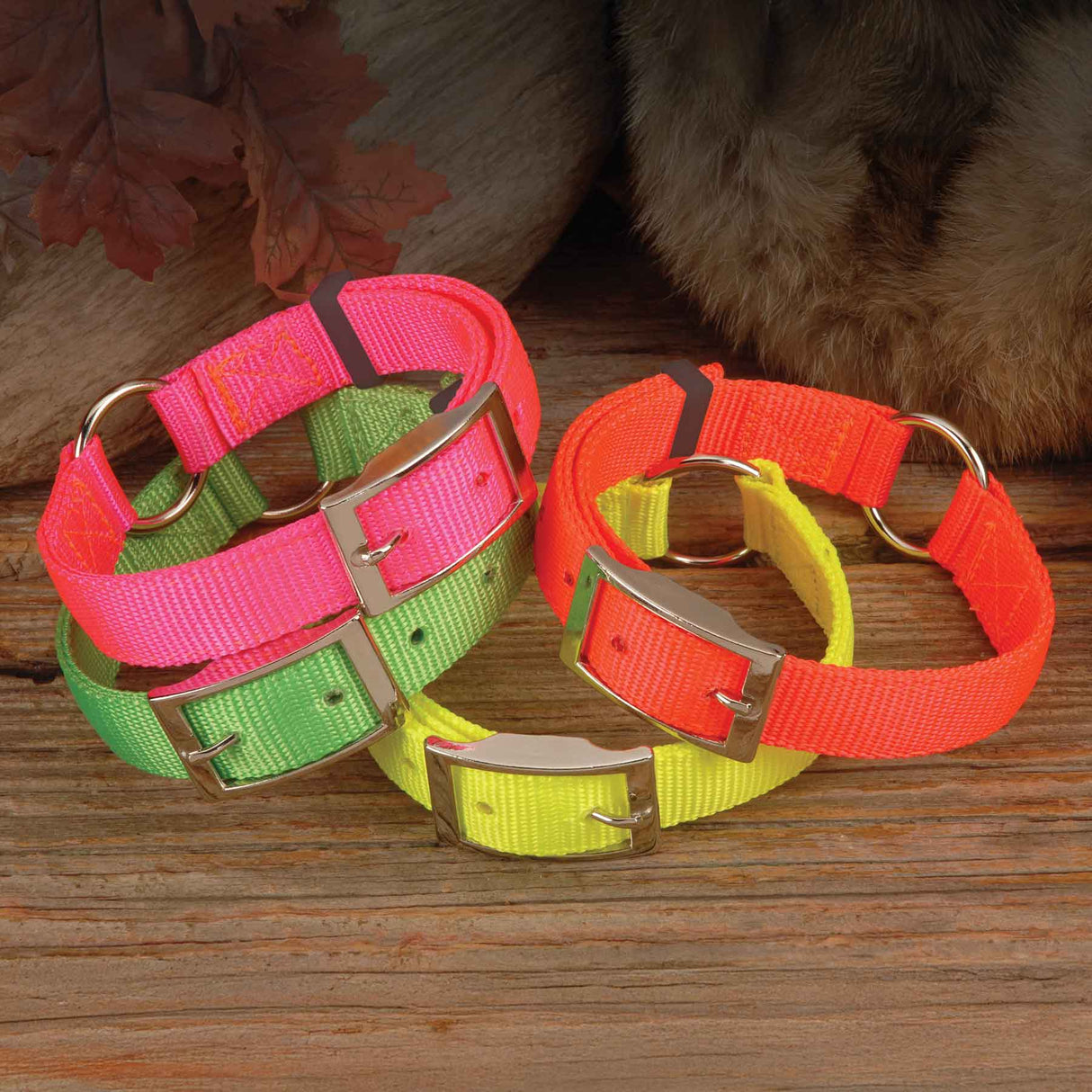Nite Lite Hi-Viz 1" Nylon Ring-N-Center Collar - Huntsmart