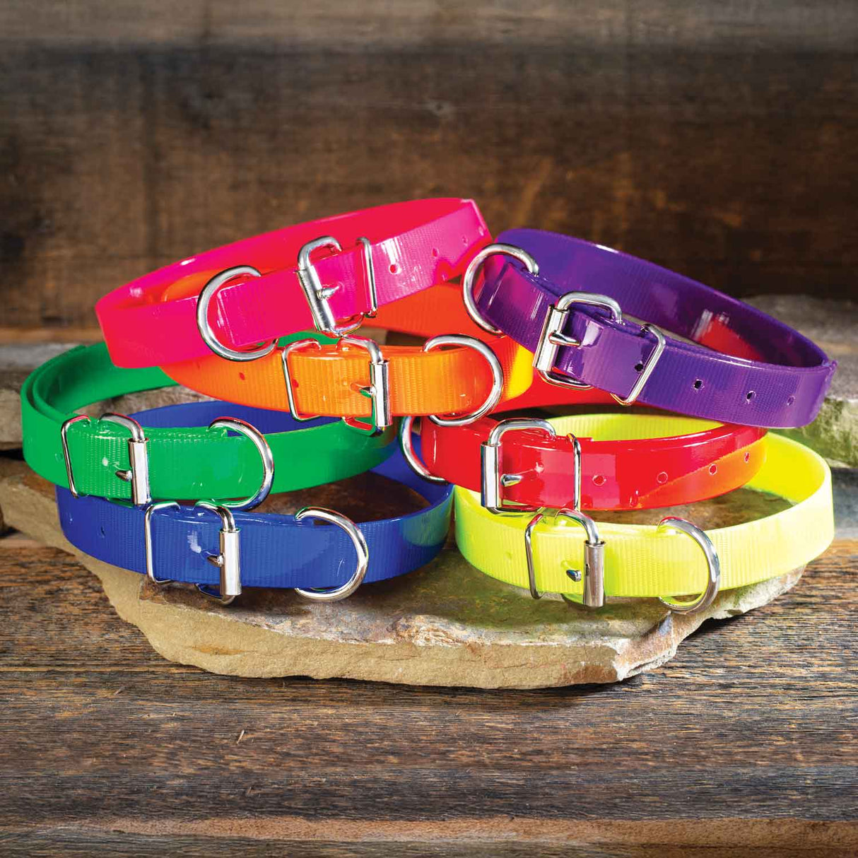 Nite Lite 1" Day-Glo Dog Collar D-Ring in Front - Huntsmart