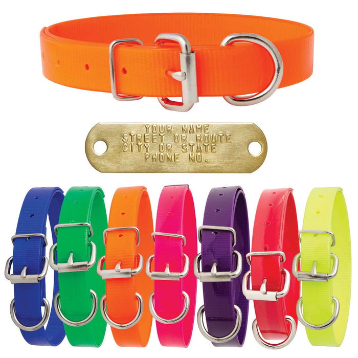 Nite Lite 1" Day-Glo Dog Collar D-Ring in Front
