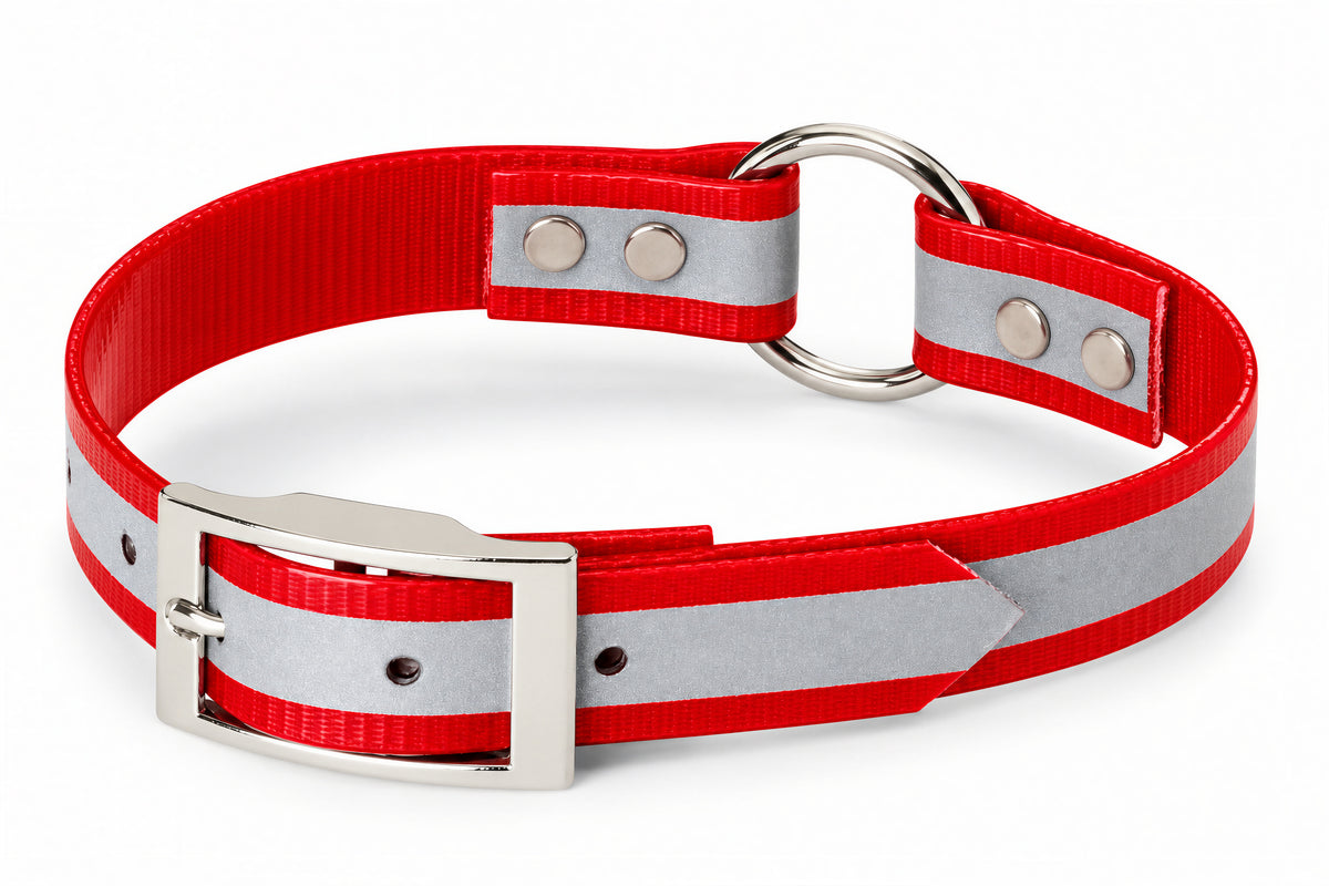 Nite Lite 3/4" Day-Glo Collar Ring-N-Center with Reflective Strip