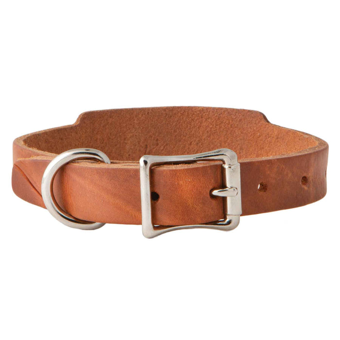 Leather Single Ply Beagle Collar - Huntsmart