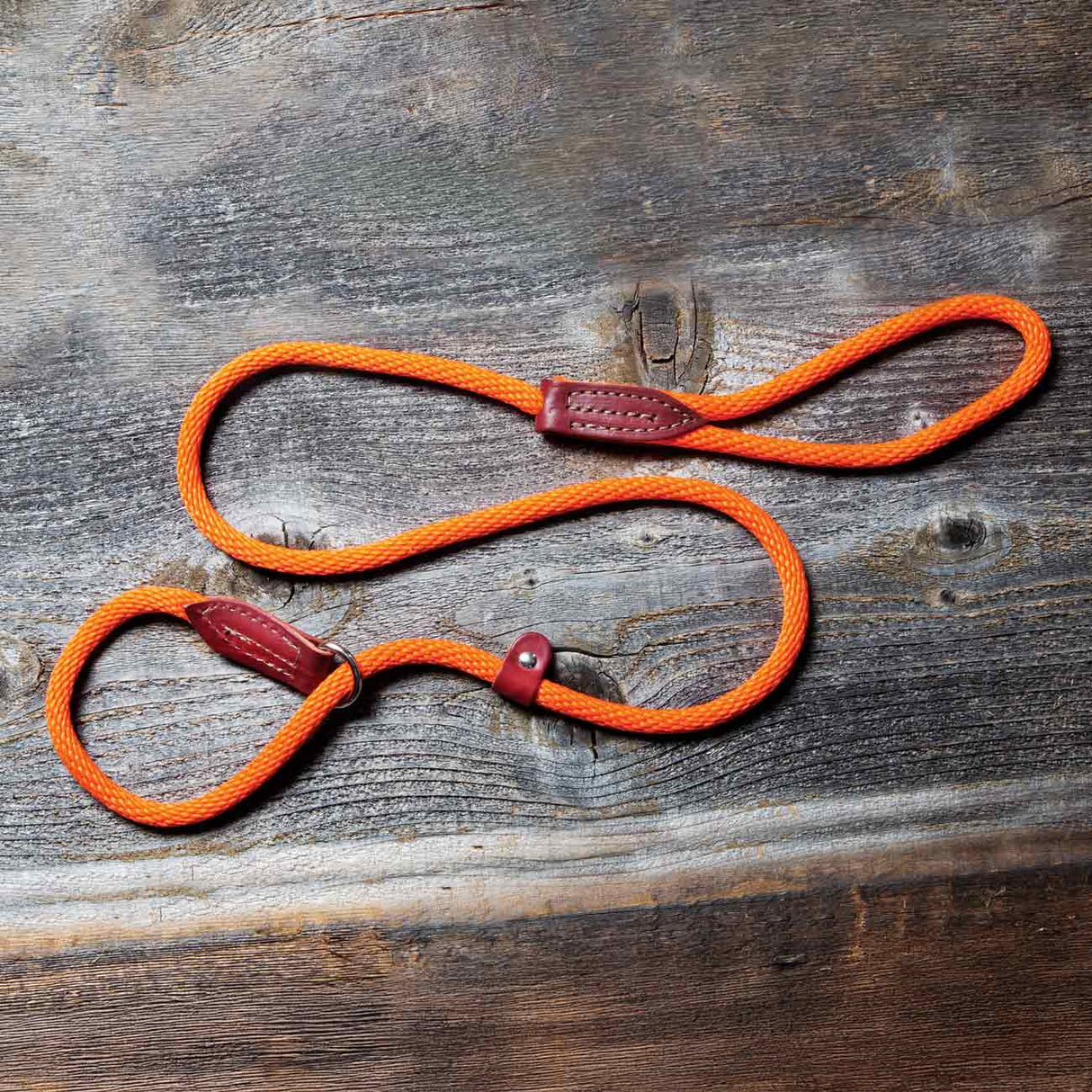 Orange Rope Leads With Slip Loop - Huntsmart