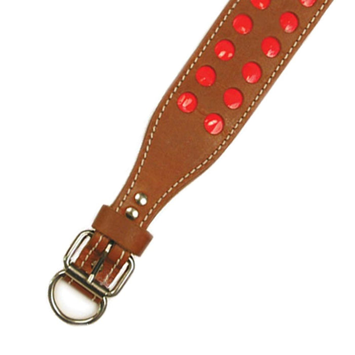 D in Front Double Ply 2" Wide Leather Reflective Dog Collar - Huntsmart