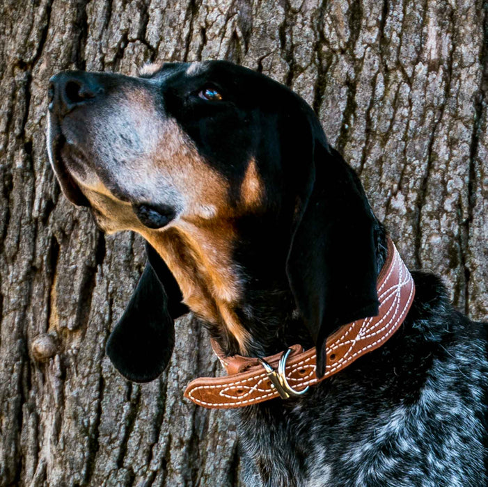 Double Ply 1 1/2" Western Stitched Leather Dog Collar - Huntsmart