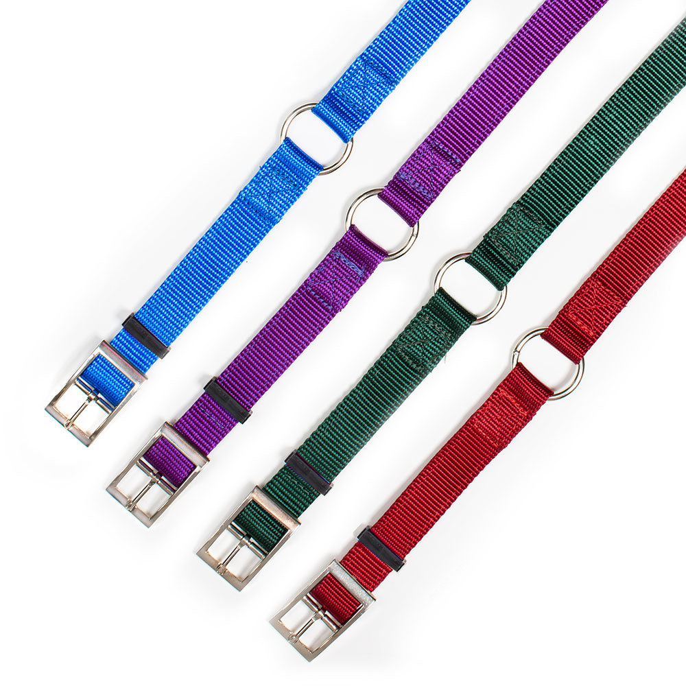 Nite Lite Double Ply Nylon 1" Ring-N-Center Dog Collar - Huntsmart