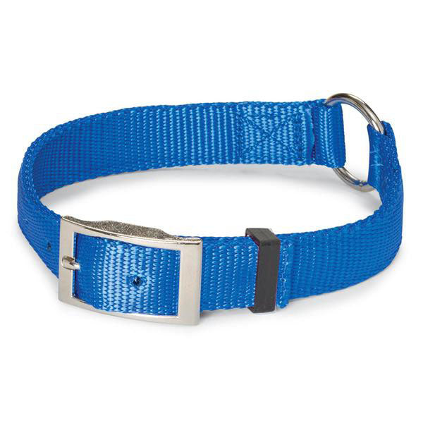 Nite Lite Double Ply Nylon 1" Ring-N-Center Dog Collar - Huntsmart