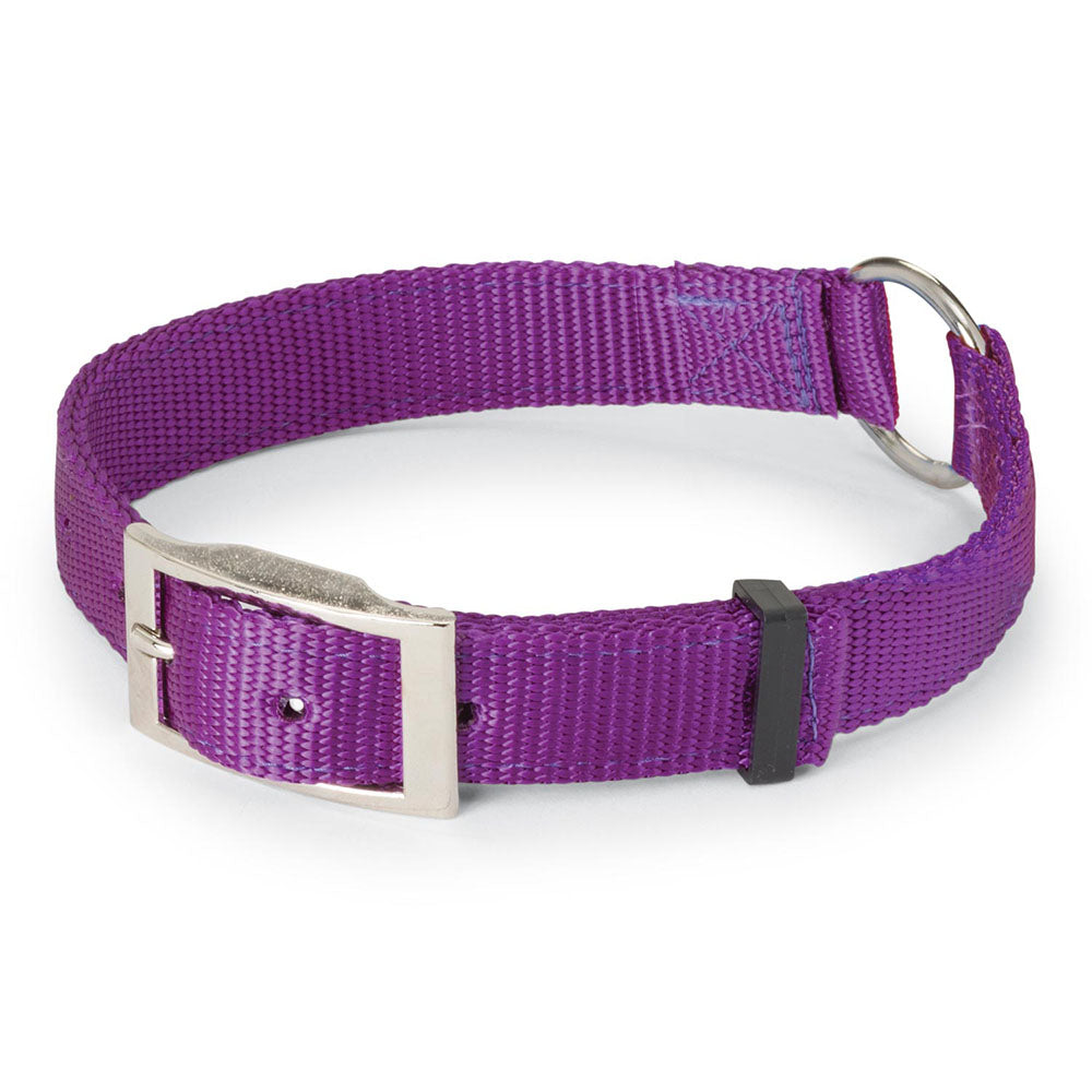 Nite Lite Double Ply Nylon 1" Ring-N-Center Dog Collar - Huntsmart