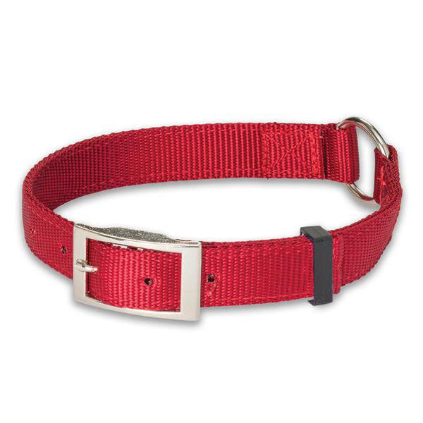 Nite Lite Double Ply Nylon 1" Ring-N-Center Dog Collar - Huntsmart