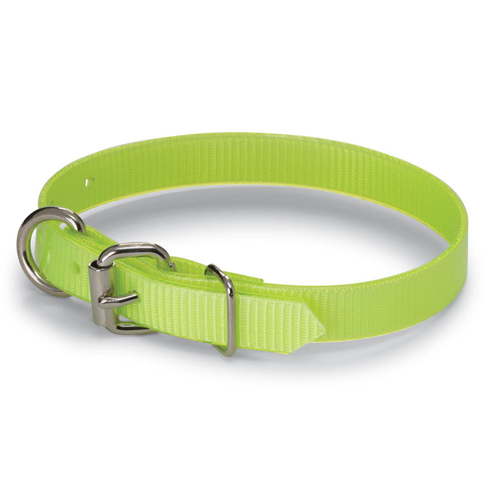 Nite Lite 3/4" Day-Glo Collar D-Ring in Front - Huntsmart