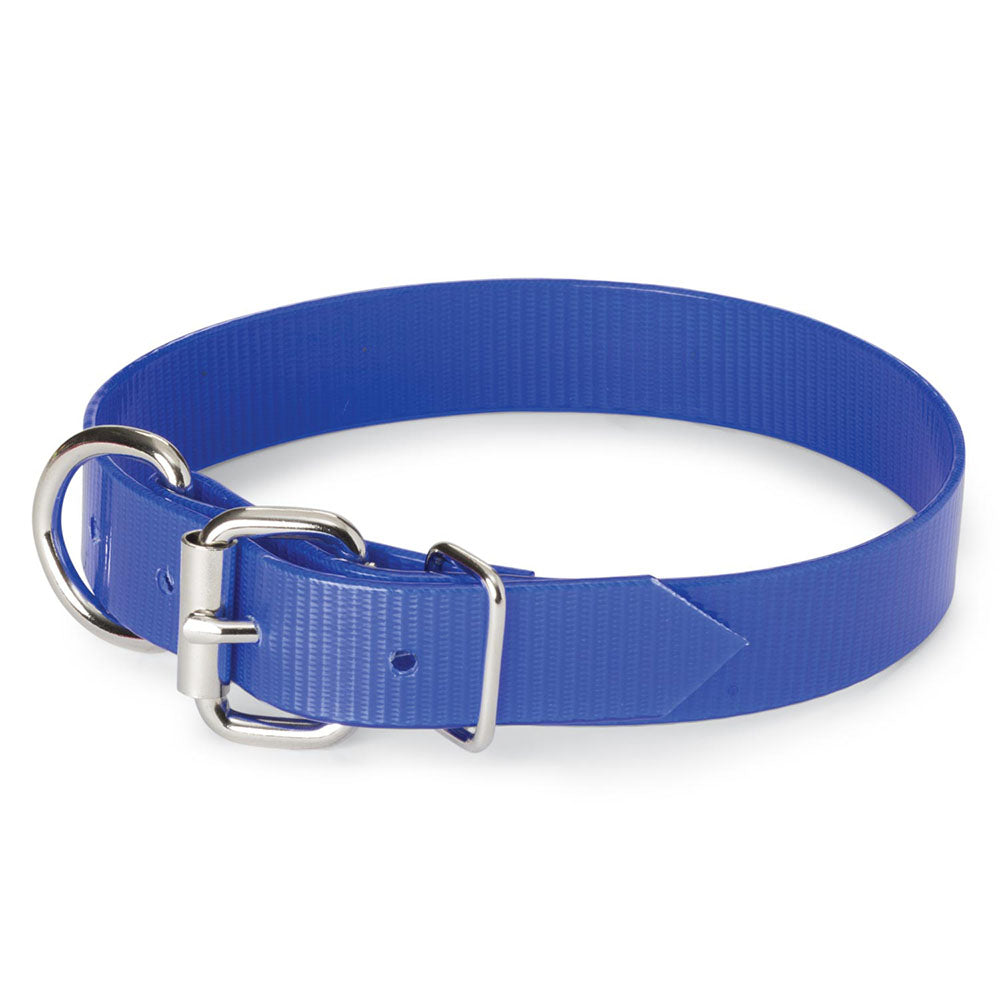 Nite Lite 1" Day-Glo Dog Collar D-Ring in Front - Huntsmart