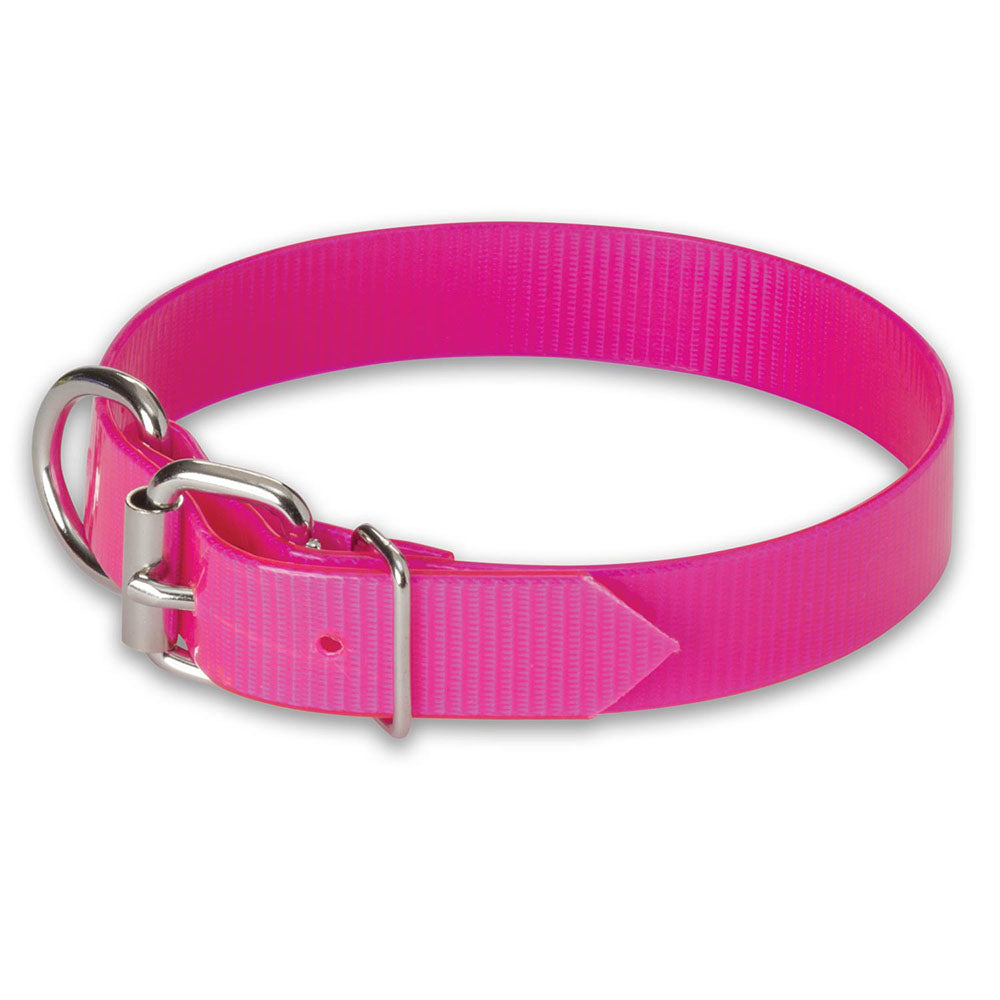 Nite Lite 1" Day-Glo Dog Collar D-Ring in Front - Huntsmart