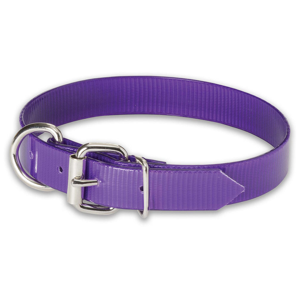 Nite Lite 1" Day-Glo Dog Collar D-Ring in Front - Huntsmart