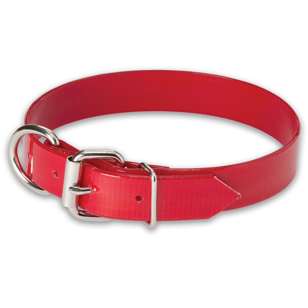 Nite Lite 1" Day-Glo Dog Collar D-Ring in Front - Huntsmart