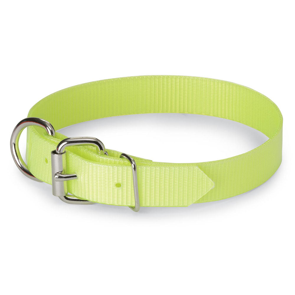 Nite Lite 1" Day-Glo Dog Collar D-Ring in Front - Huntsmart
