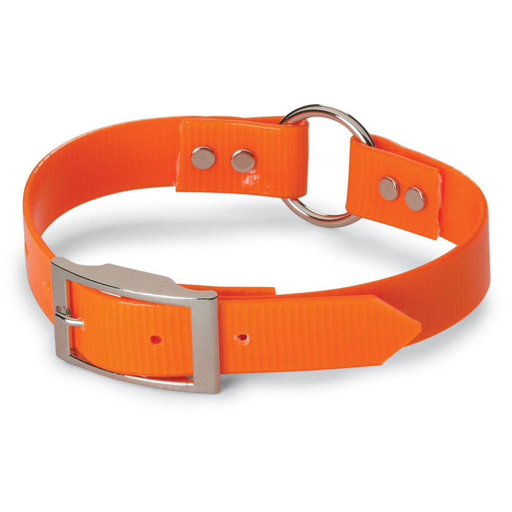 Nite Lite 1" Day-Glo Collar Ring-N-Center - Huntsmart