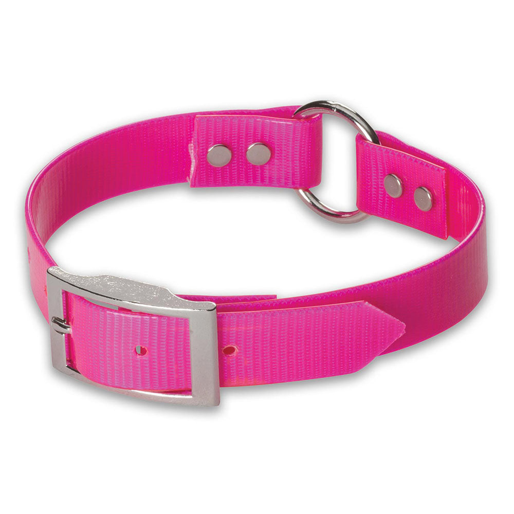 Nite Lite 1" Day-Glo Collar Ring-N-Center - Huntsmart
