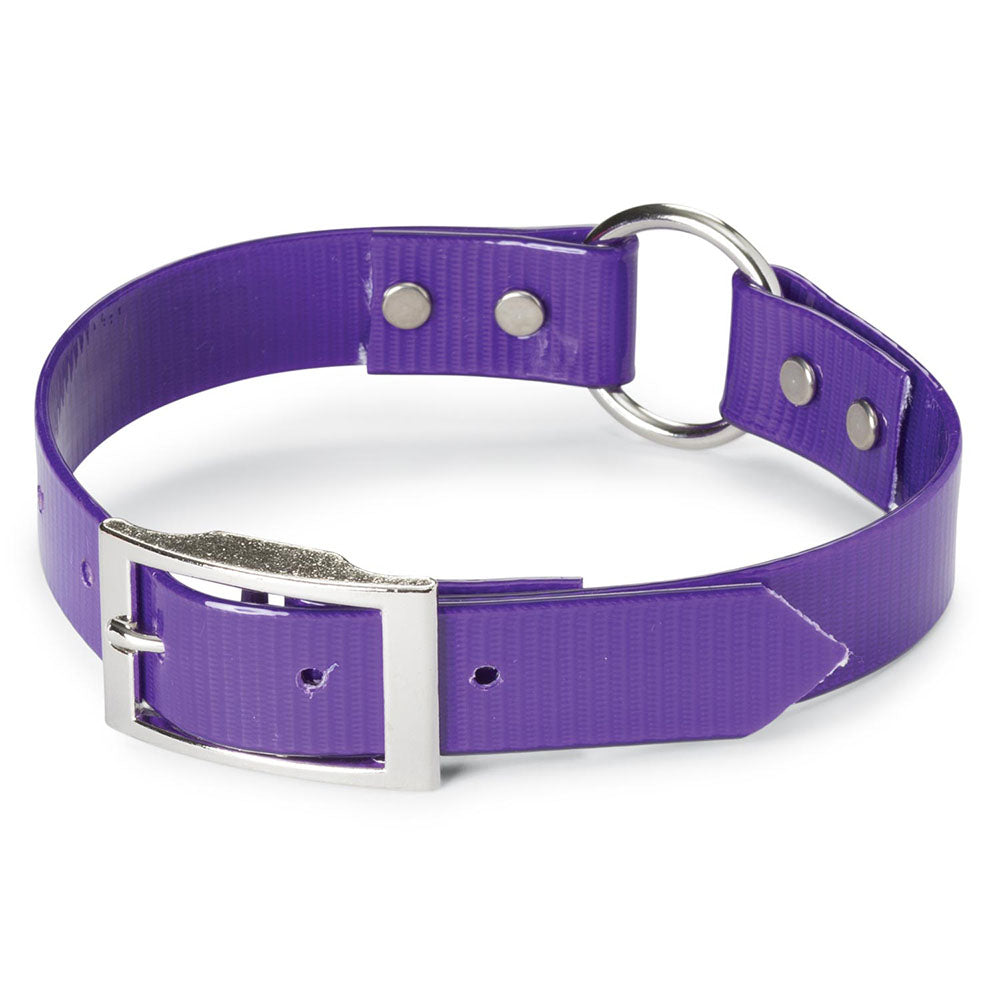 Nite Lite 1" Day-Glo Collar Ring-N-Center - Huntsmart