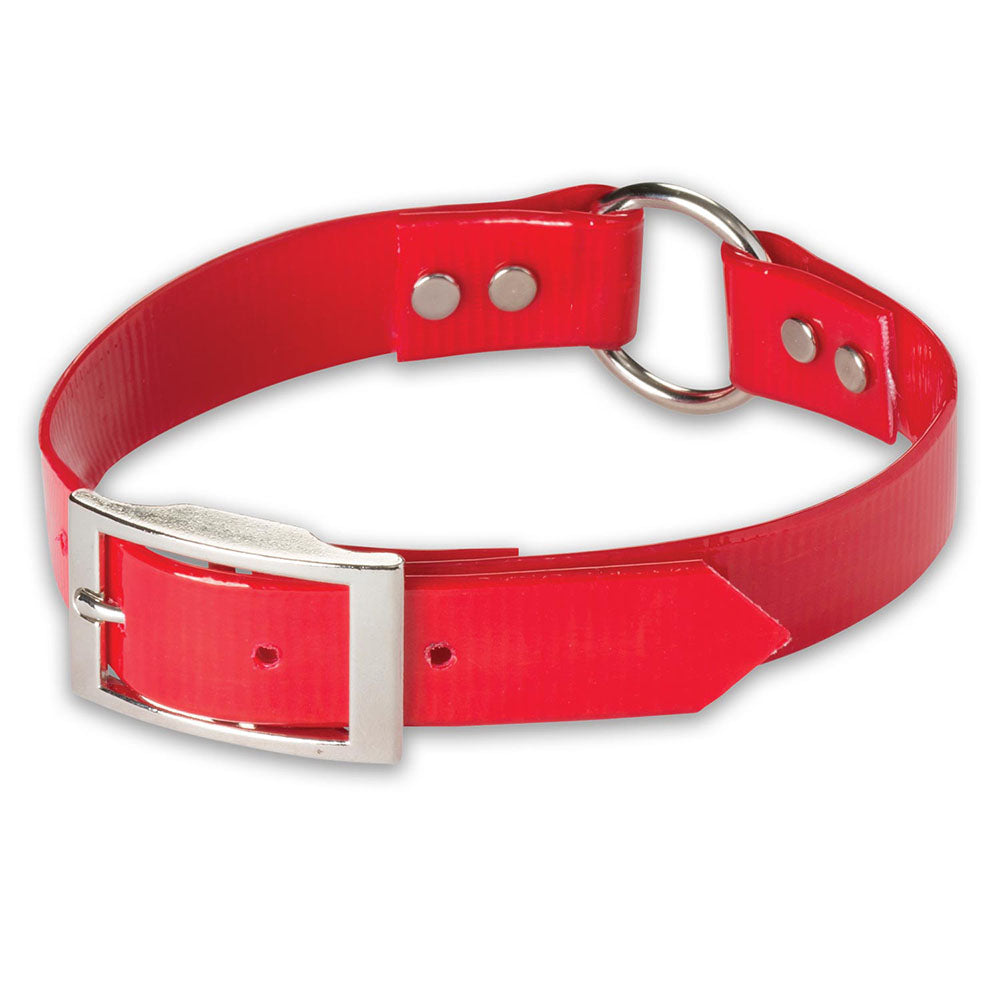 Nite Lite 1" Day-Glo Collar Ring-N-Center - Huntsmart