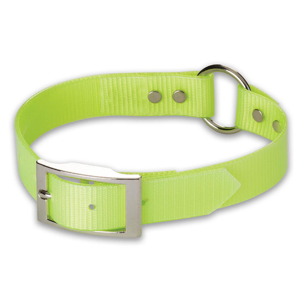 Nite Lite 1" Day-Glo Collar Ring-N-Center - Huntsmart