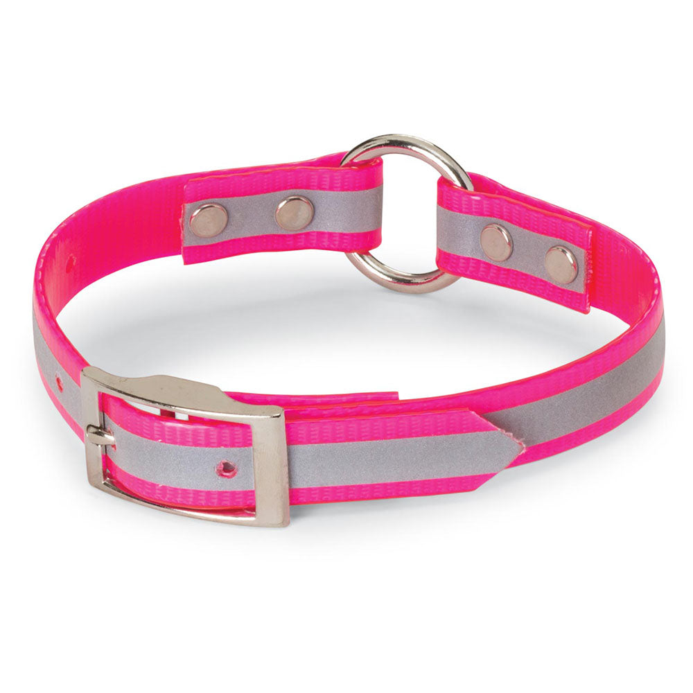 Nite Lite 3/4" Day-Glo Collar Ring-N-Center with Reflective Strip - Huntsmart