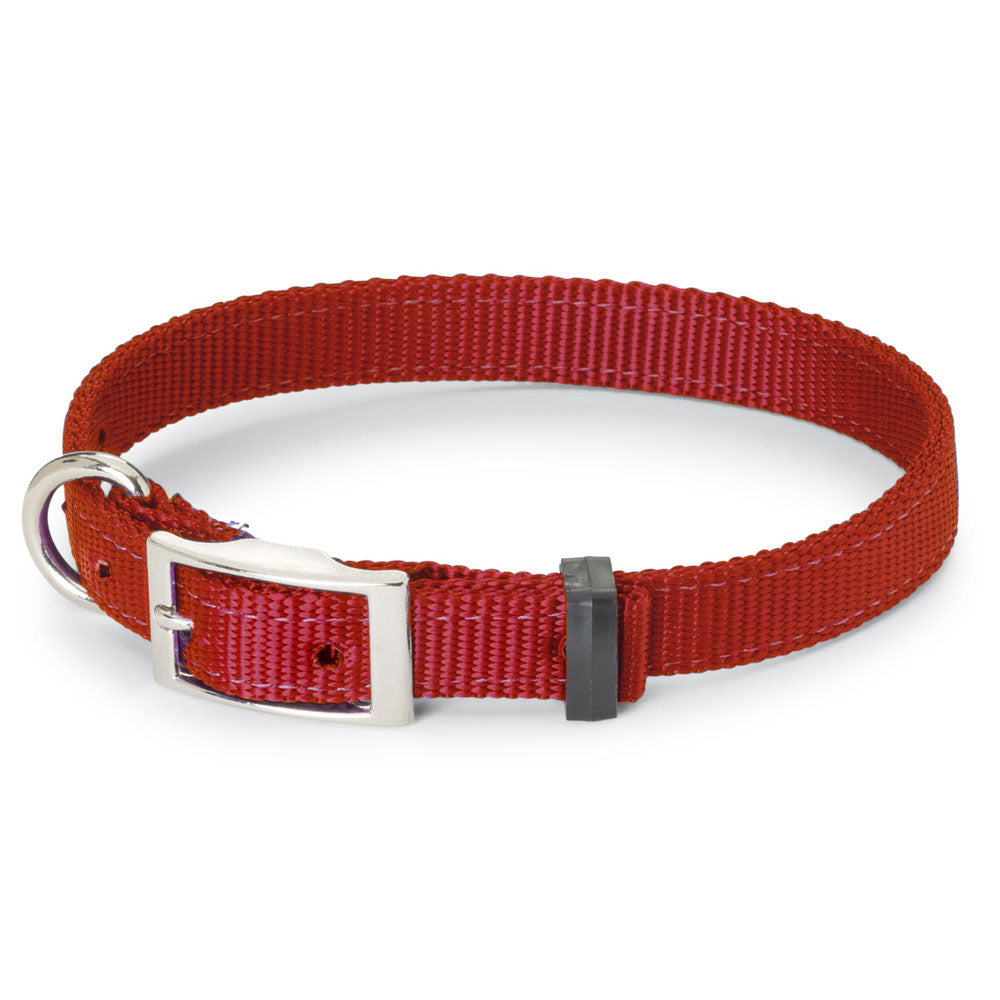 Nite Lite Double Ply Nylon 1" D-Ring in Front Dog Collar - Huntsmart