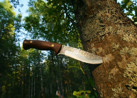 Top Hunting Knives for Coon Hunting