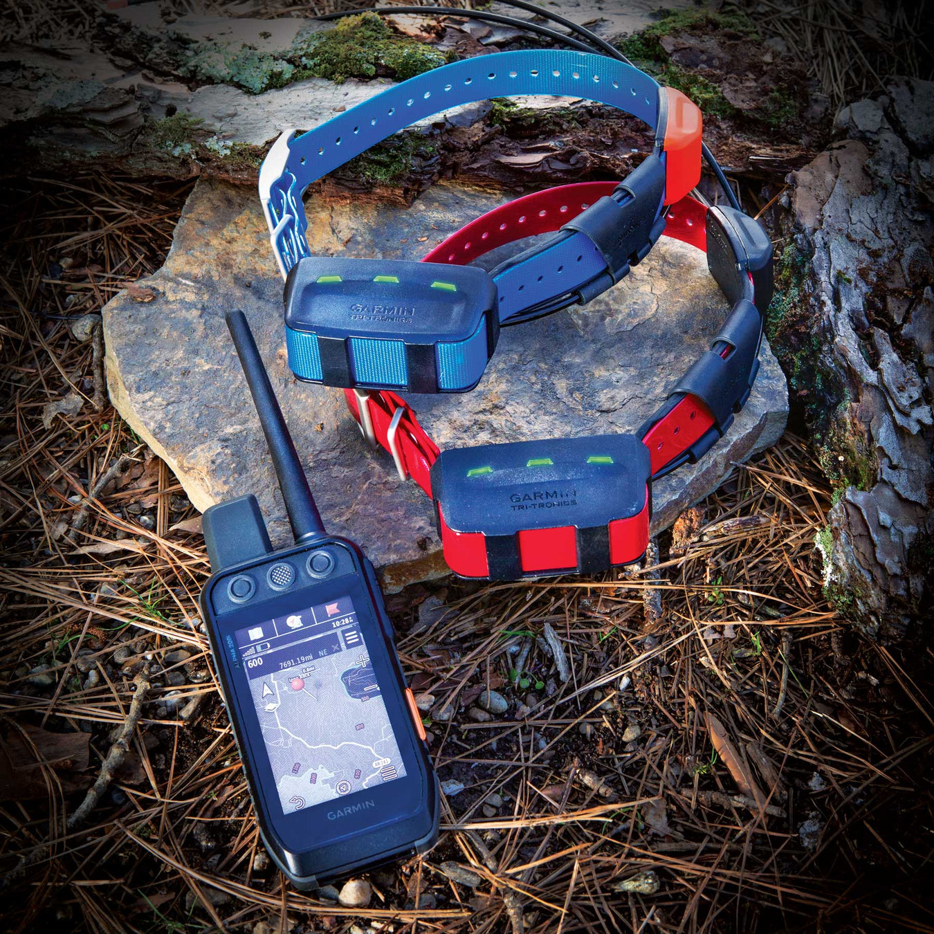 E-Collars & GPS Tracking