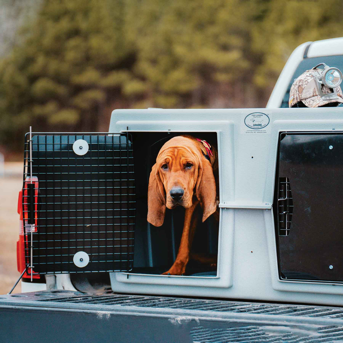 Dog Kennels & Supplies Huntsmart