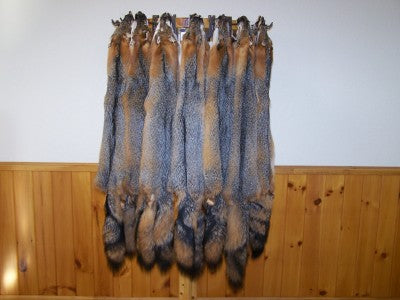 Tanned Grey Fox - Huntsmart