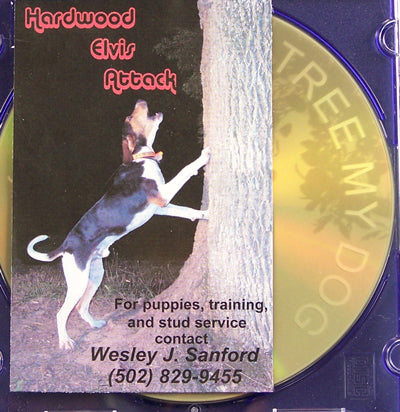 Wesley Sanford's "Tree My Dog" DVD - Huntsmart