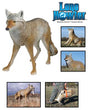 Flambeau Lone Howler Coyote Decoy - Huntsmart