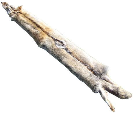 Coyote Training Drag - Huntsmart