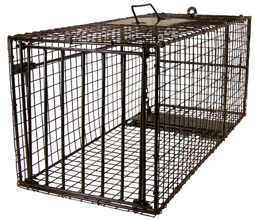 Freedom Brand Professional Series Cage Traps - Huntsmart
