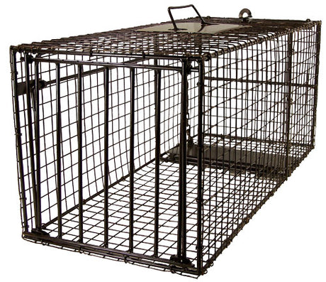 Freedom Brand Professional Series Cage Traps - Huntsmart