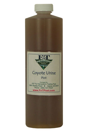 Coyote Urine - Huntsmart