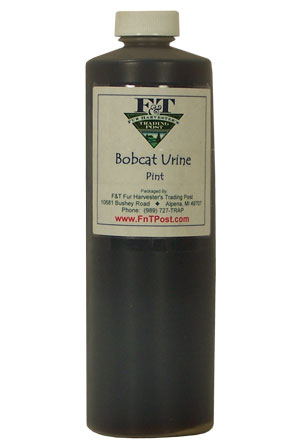 Bobcat Urine - Huntsmart