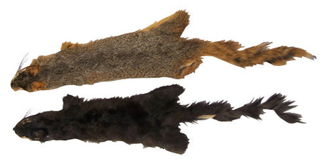 Squirrel Training Drag - Huntsmart