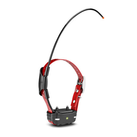 Garmin Tri-Tronics Pro Series TB 10 Dog Device - Huntsmart