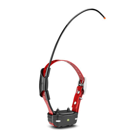 Garmin Tri-Tronics Pro Series TB 10 Dog Device - Huntsmart