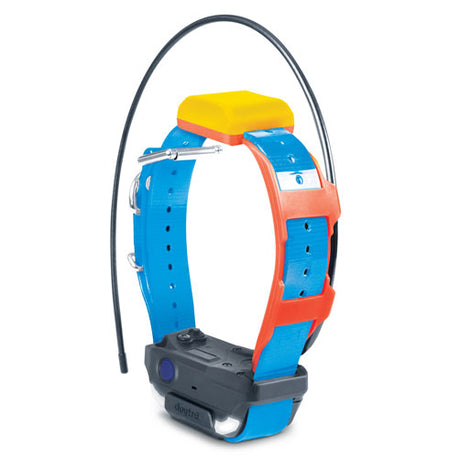 Dogtra Pathfinder 2 TRX GPS Tracking Collar - Huntsmart