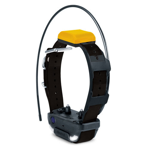 Dogtra Pathfinder 2 RX GPS Tracking & Training Collar - Huntsmart