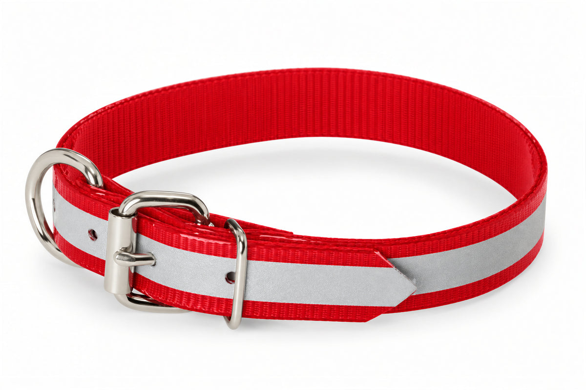 Nite Lite 1" Extended D Day-Glo with Reflective Strip