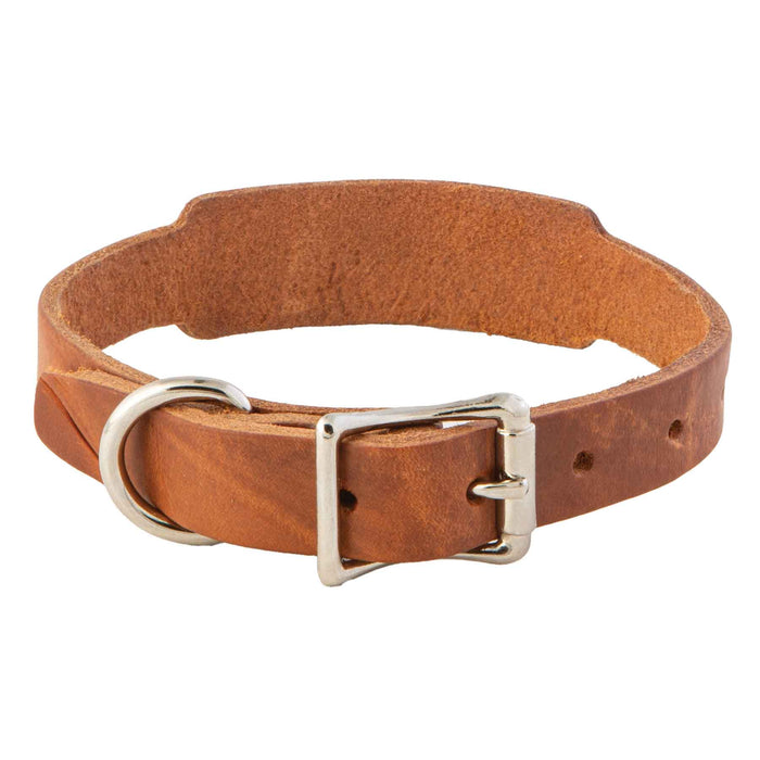 Leather Single Ply Beagle Collar