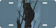 Treed Coon License Plate - Huntsmart