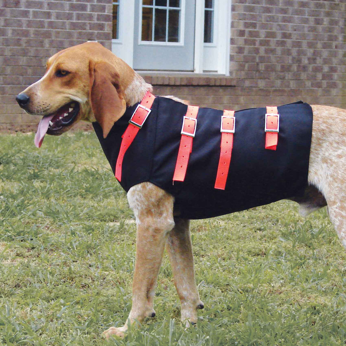 Nite Lite Premium Hog Bay Dog Cut Vest – Huntsmart