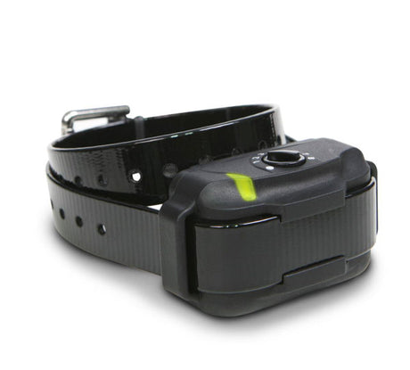 Dogtra E-Fence 3500 Additional Receiver - Huntsmart
