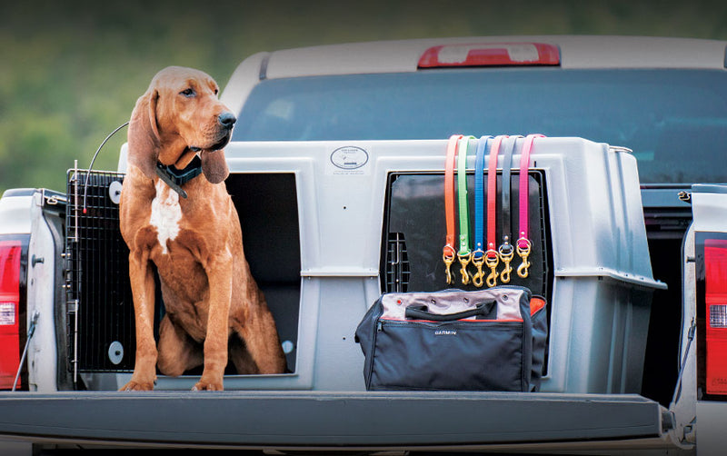 Coon Hunting Gear & Supplies