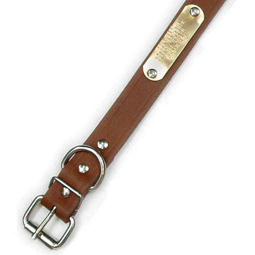 Single Ply 1" Wide Leather Dog Collar - Regular D-Ring - Style# 100 - Huntsmart