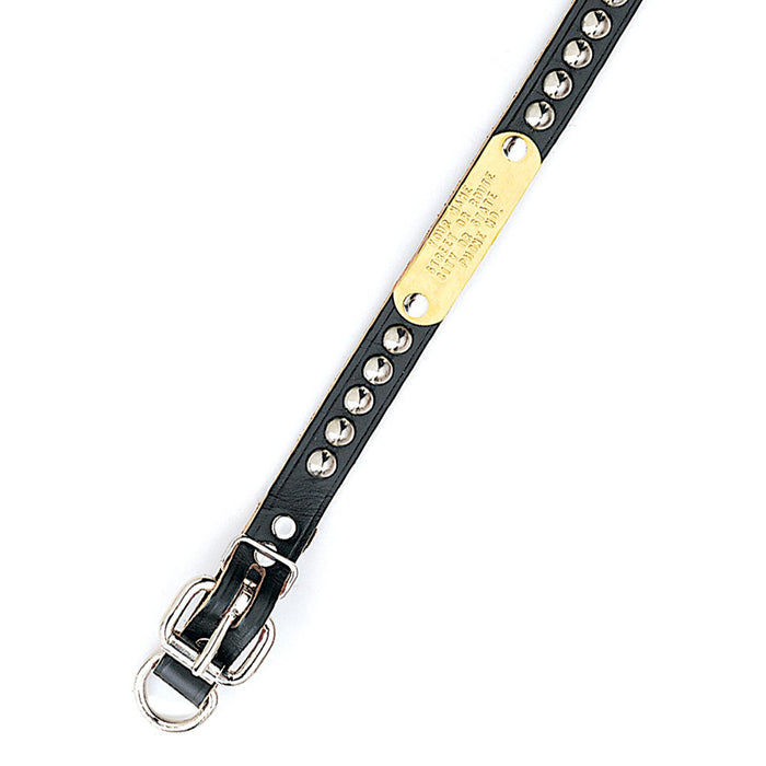 Leather Single Ply Studded Beagle Collar - Huntsmart