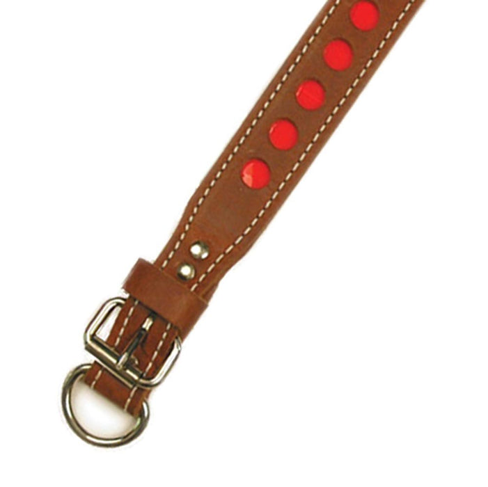 D in Front Double Ply 1 1/4" Wide Leather Reflective Dog Collar - Huntsmart